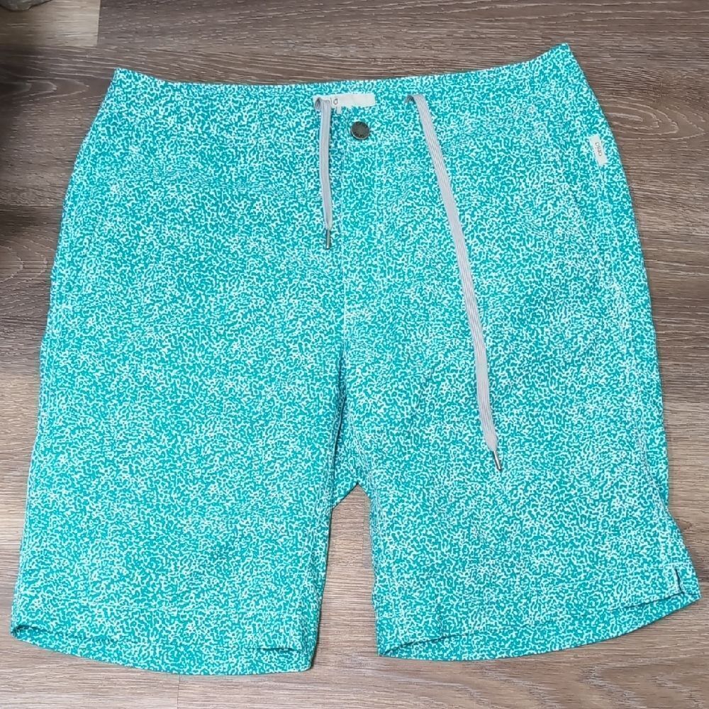 Onia Calder 10" Teal Print Swim Trunks Sz 31